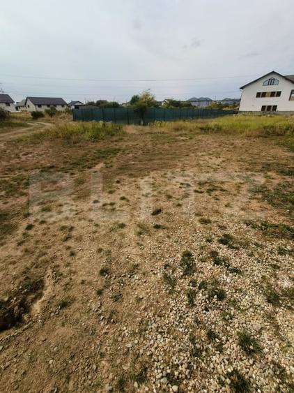 Teren intravilan 1778 mp | Trivale | Smeura | Negociabil - 3