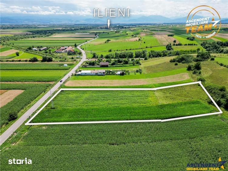 Teren de 7400 mp, în Ilieni