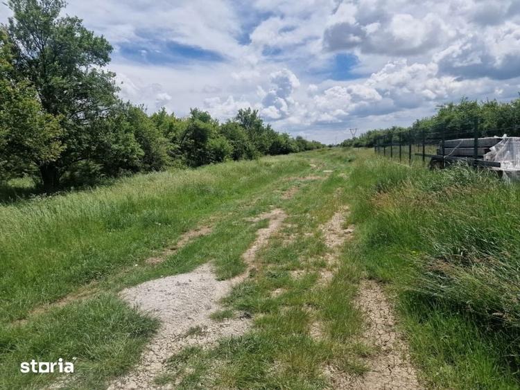 Teren de 3006 mp, în Mărășești