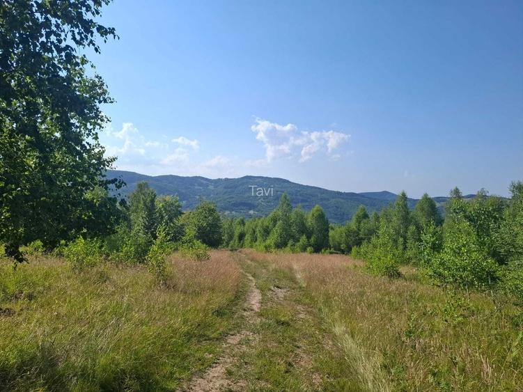 Vand teren langa Ferma Stana Dacilor, 3.5 hectare