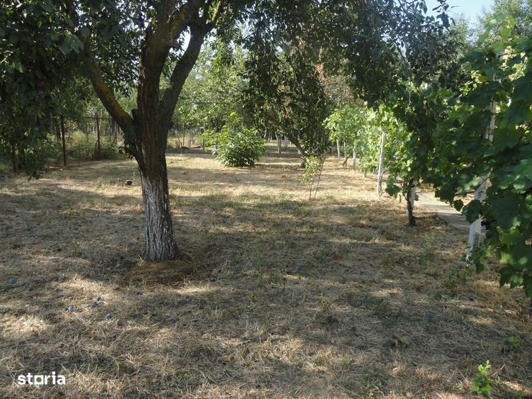 Casă cu 4 camere cu Teren 1278 Mp în Micălaca