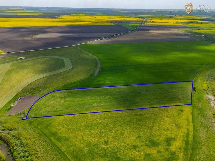 Teren agricol extravilan de 18000 mp, în Turnu