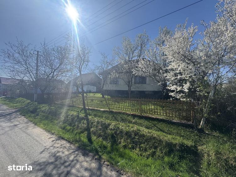Casă cu 3 camere cu Teren 4500 Mp în Băița