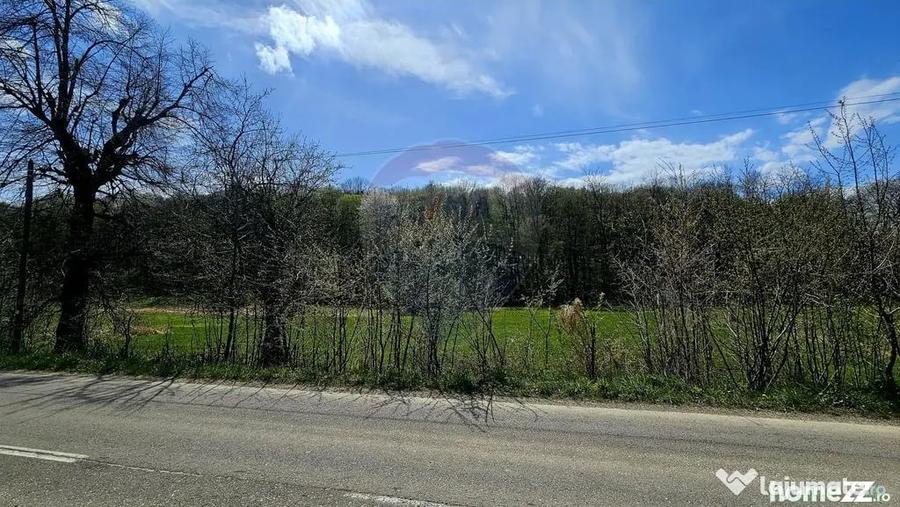 Teren în Nemțișor