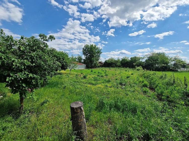 Teren de 1250 mp, în Rași