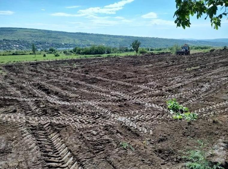 Teren Construcții extravilan de 750 mp, în Aroneanu