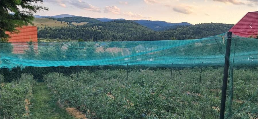Casă cu Teren 3600 Mp în Călimănel