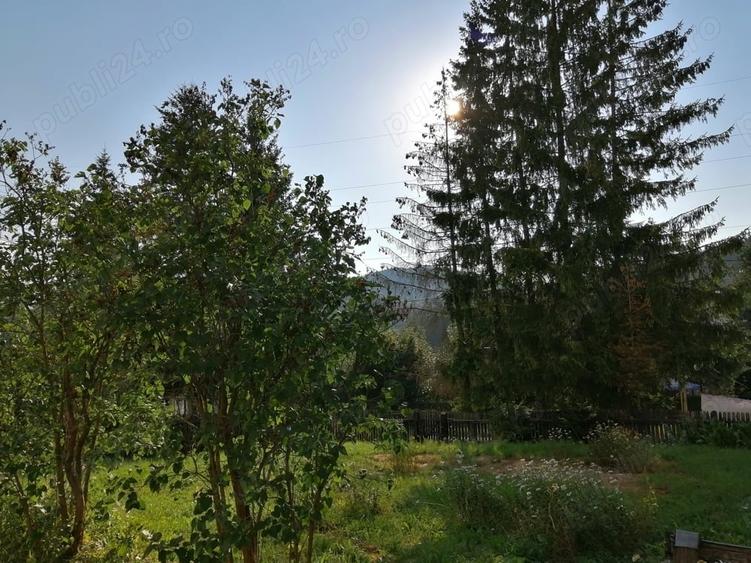 Casă cu 3 camere în Predeal