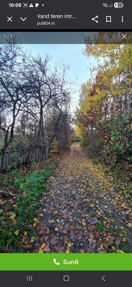 Teren de 8800 mp, în Valea lui Enache