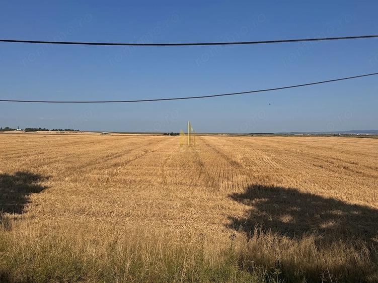 Teren de vanzare 10.200 mp, PlopeniSalcea, zona Aeroportului Suceava - 7