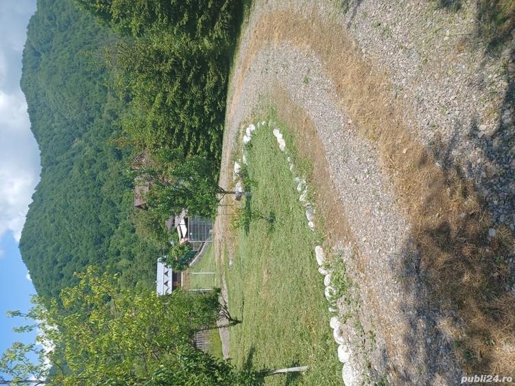 Teren de 800 mp, în Ibănești