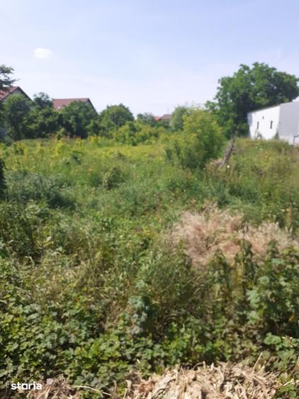 Teren de 3000 mp, în Bucov