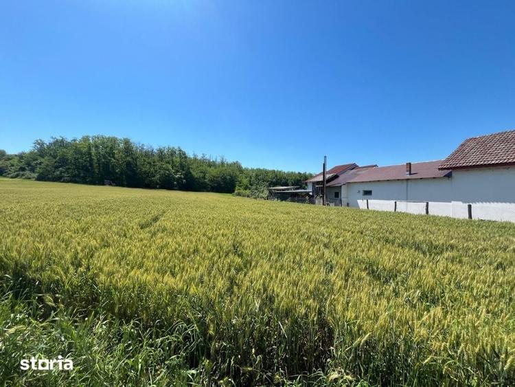 Teren de 2533 mp, în Brazda lui Novac