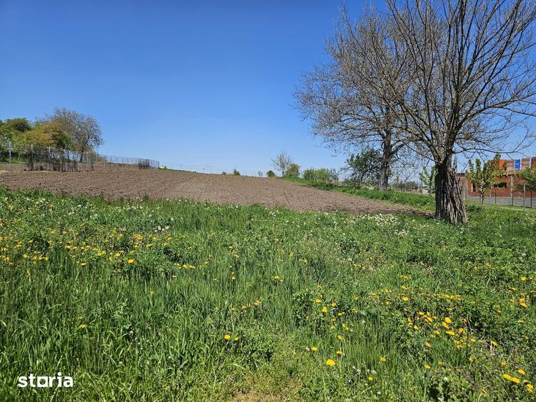 Casă cu 3 camere cu Teren 2500 Mp în Bosanci