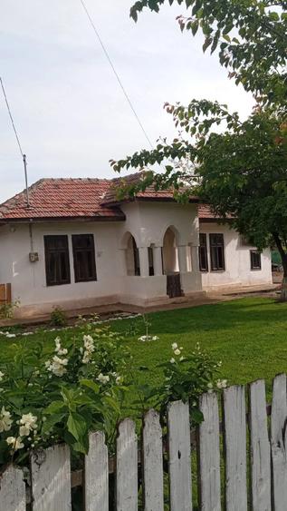Casa locuibila, renovata, mobilata, rasa, com. Gradistea - 4