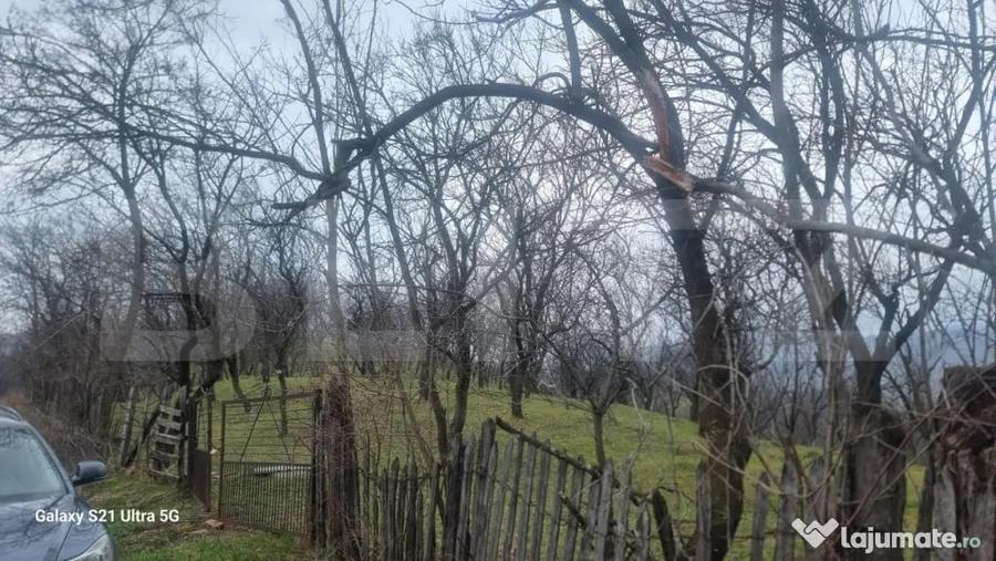 Teren în Schiulești