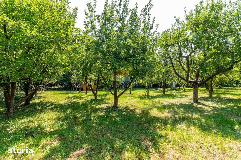 Casă cu Teren 3425 Mp în Gura Vitioarei