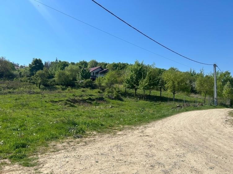 Teren agricol intravilan de 650 mp, în Bucium