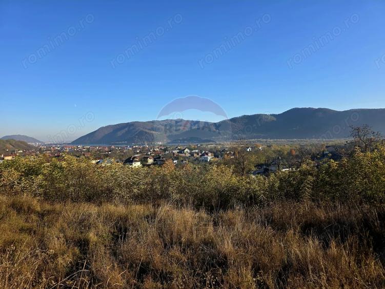Teren de 6874 mp, în Alexandru cel Bun