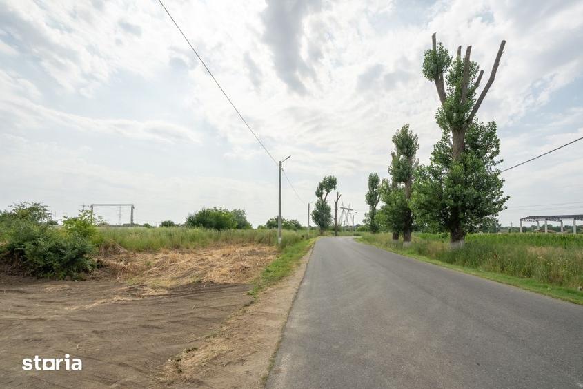 Teren de 30000 mp, în Cernica