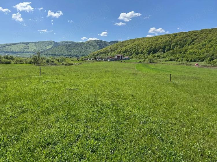 Teren în Poplaca