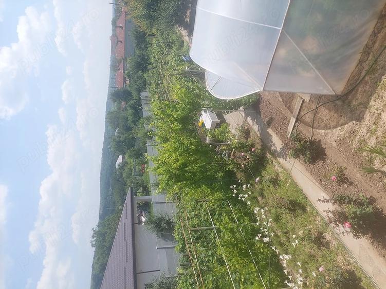 Casă cu 4 camere cu Teren 1200 Mp în Exterior Vest