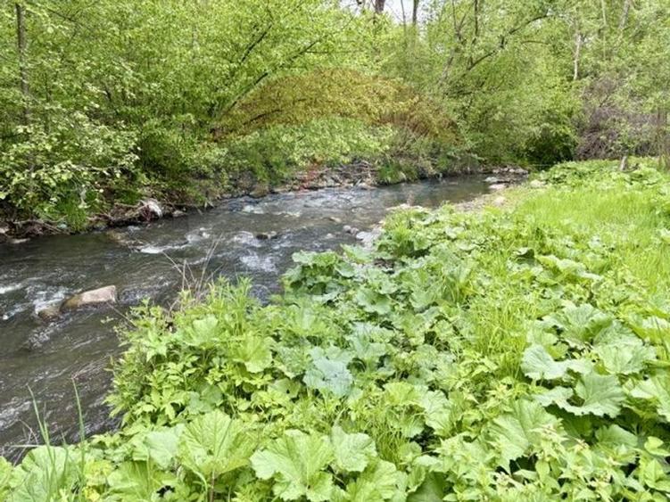 Teren agricol extravilan de 20876 mp, în Breb