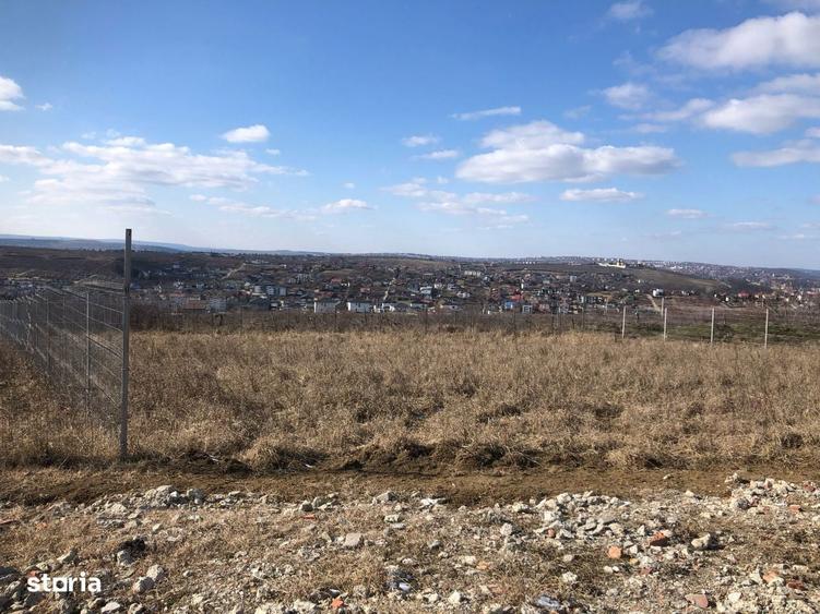 Teren intravilan Bucium 1000 mp, dealul Craitelor - 10