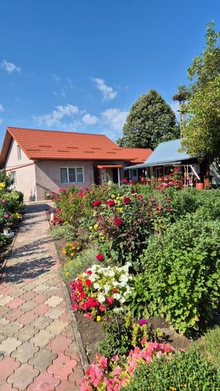 Casă de vânzare - 7