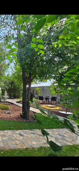 Domeniu vila cu piscina Bragadiru - 2