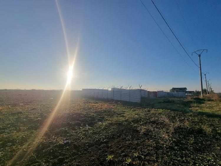 Teren 4500 mp de închiriat – Frumușani – Parcare TIR / Depozitare logistica - 2