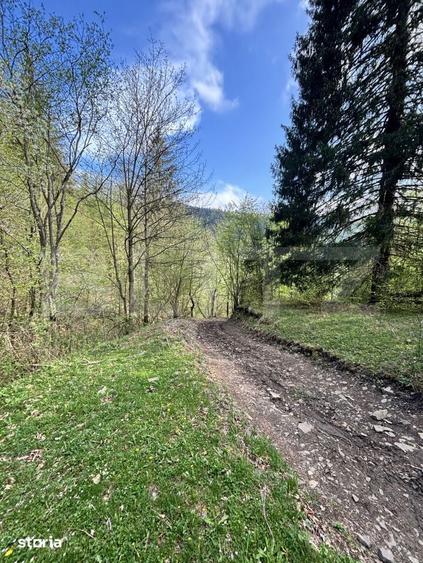 Teren extravilan, 2.8 ha, in zona ?andru, Campulung Moldovenesc - 6