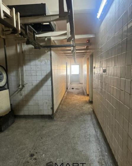 Spa?iu comercial de vanzare 380 mp, Terezian, Sibiu - 10