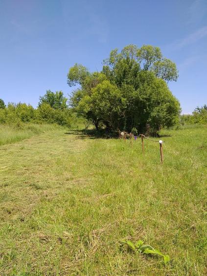 Teren de 3000 mp, în Răzvad