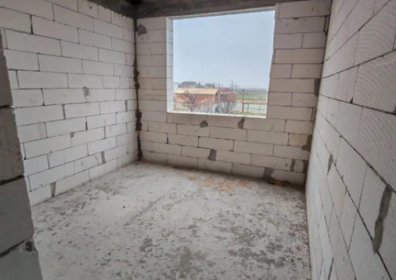 Casa Malu Mare - Capsunarie - Damila - 8