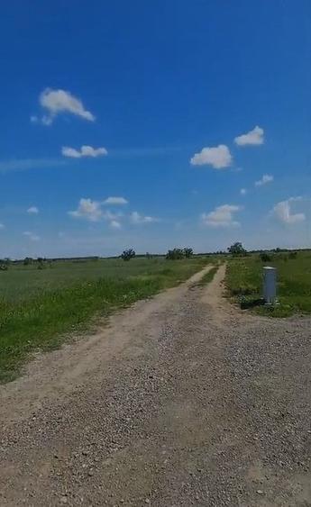 Ocazie! Domnesti-Ghioceilor, Ideal investitie - 4