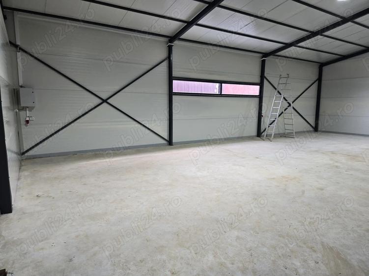 Inchiriez Hala Filipe?tii de Padure. - 3