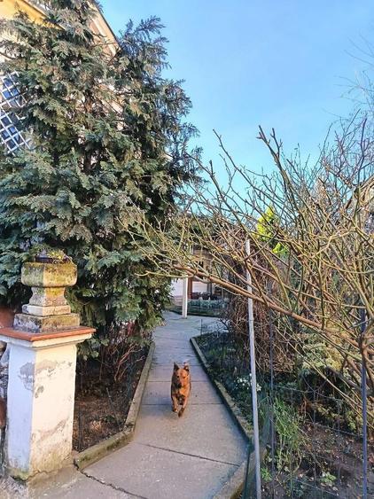 Casa individuala, cladire istorica BALCESCU - 13