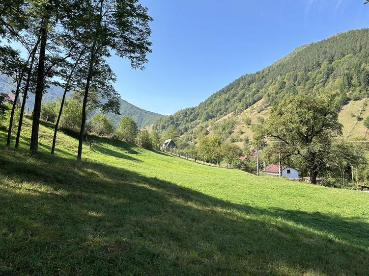 Teren intravilan Rau Sadului - 1