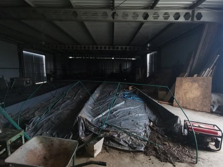 Hala Padureni 300 mp - 3