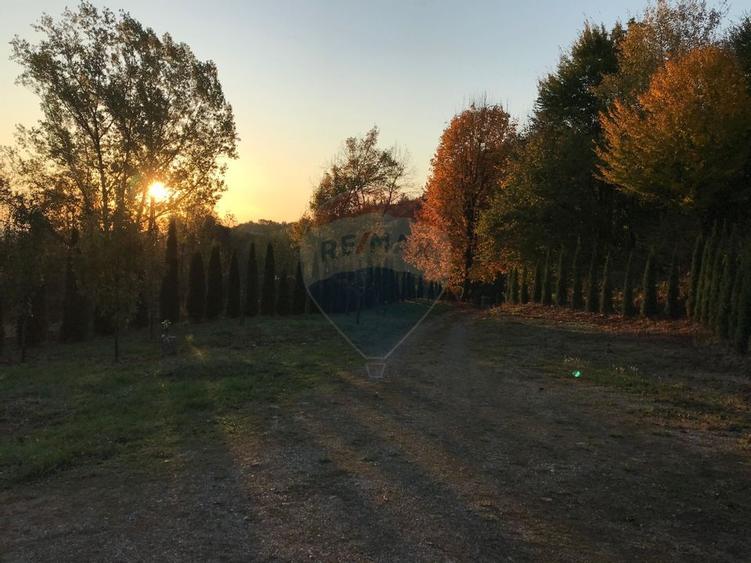 Hotel / Pensiune cu 6 camere de vanzare - 5