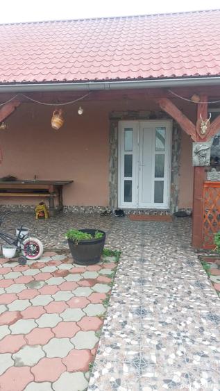 Casă cu Teren 690 Mp în Topolovățu Mare