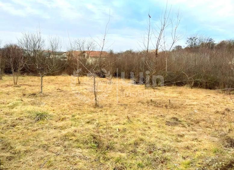 Teren intravilan 470mp | 19m front | Buna Ziua |Zona strazii Macesului