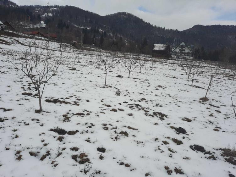 Teren+casa nefinalizata de vanzare Podul Dambovitei, Jud. Arges - 3