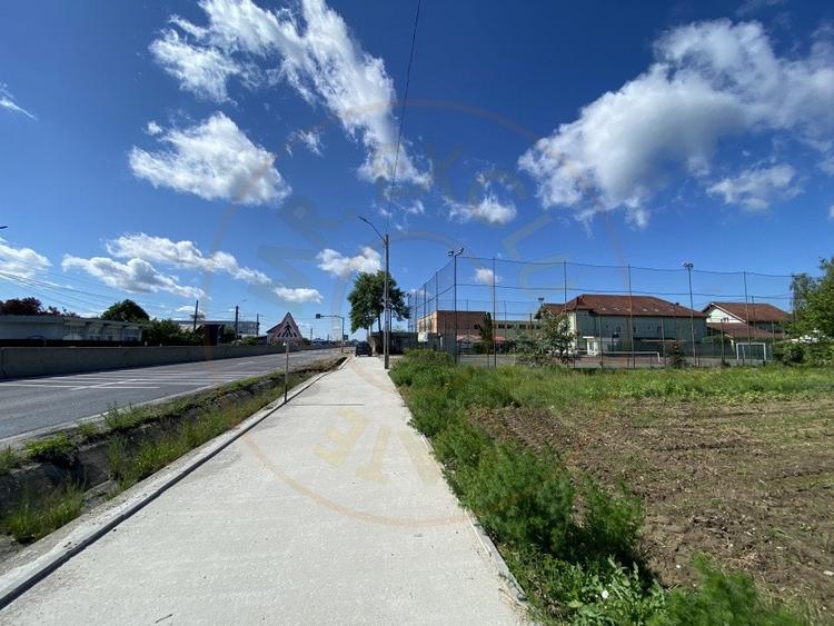 Teren intravilan 7.295 mp – Argeselu, Maracineni, AG - 3