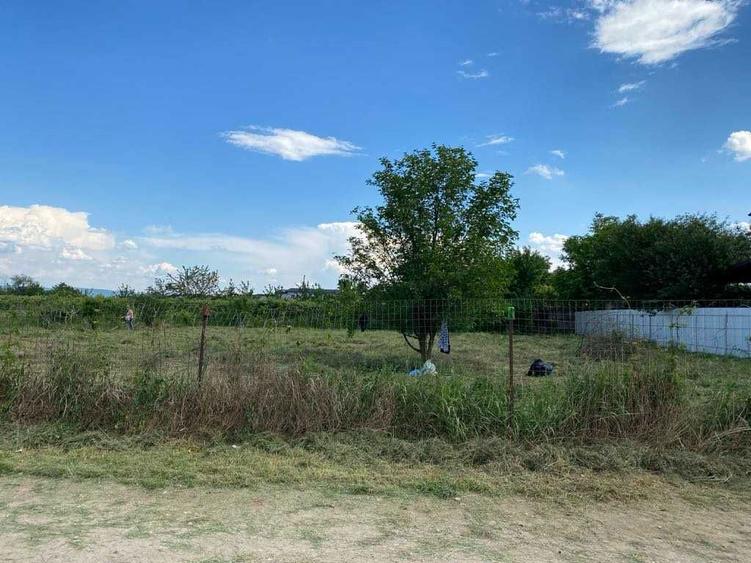 Teren intravilan Margineni-Hemeiusi 33m deschidere - 4