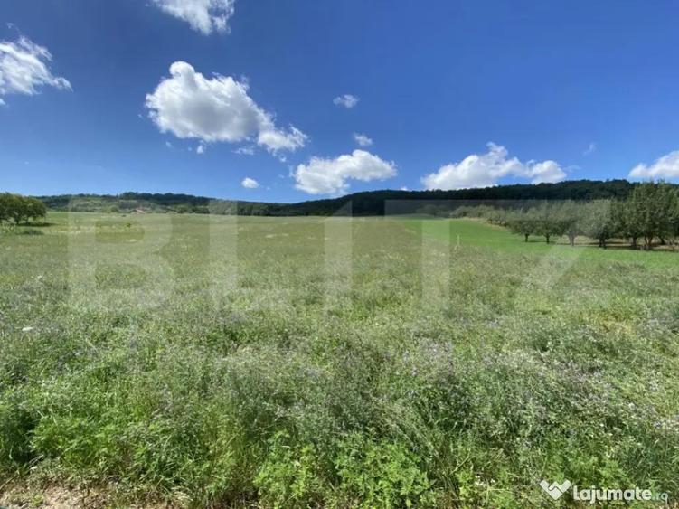 Teren intravilan in suparafat de 19213 mp, zona Valea Mitii - 2