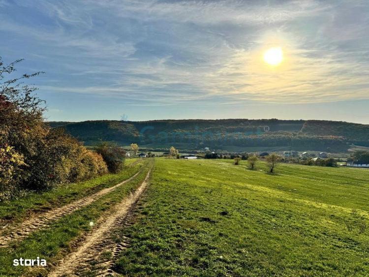 Teren de vanzare in Betfia, 5487 mp intravilan, Bihor, Gaminvest-V4571 - 2