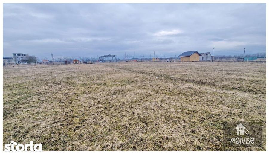Teren Intravilan 2.300 mp- Sanpetru - 3