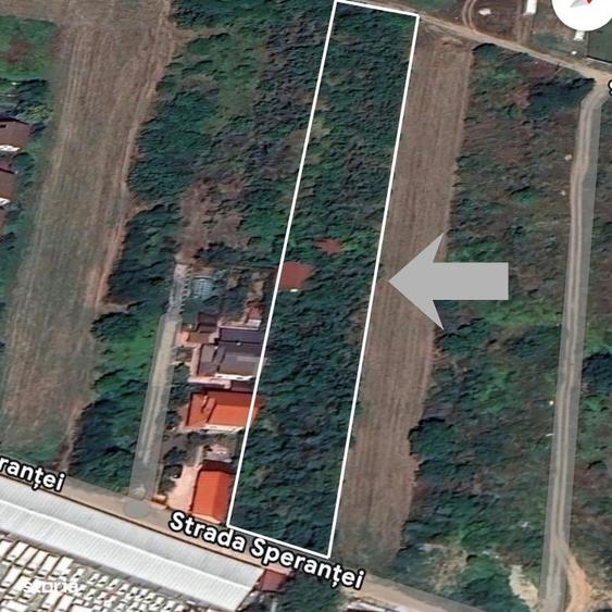 Vanzare teren intravilan 5014mp Afumati - Strada Sperantei - 7